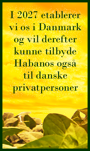 I 2027 etablerer vi os i Danmark